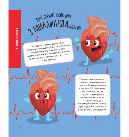 Руни Энн: Тело человека. 500 удивительных фактов-2