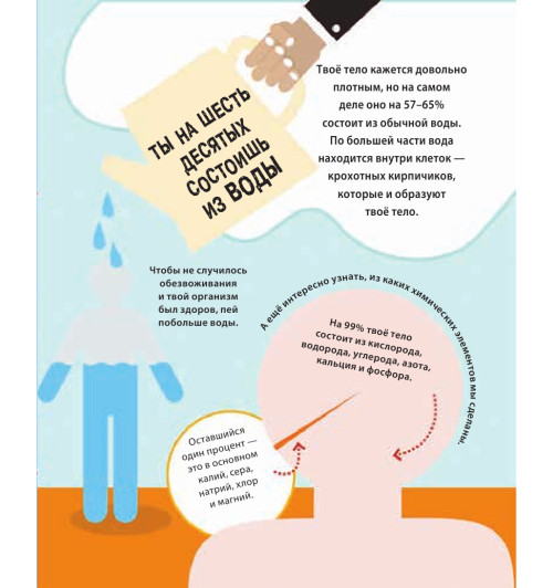 Руни Энн: Тело человека. 500 удивительных фактов-3