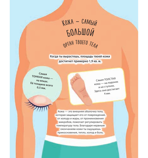 Руни Энн: Тело человека. 500 удивительных фактов-8