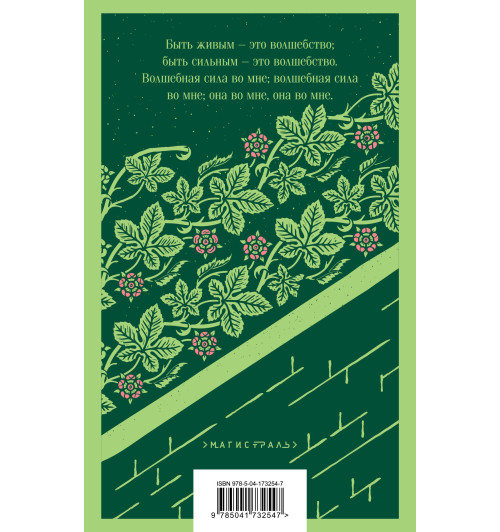 Бёрнетт Фрэнсис Элиза: Таинственный сад-2