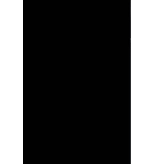 Уолтер Айзексон: Илон Маск-1