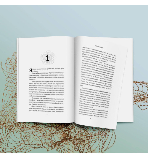 Колин Гувер: Тайный дневник Верити-6