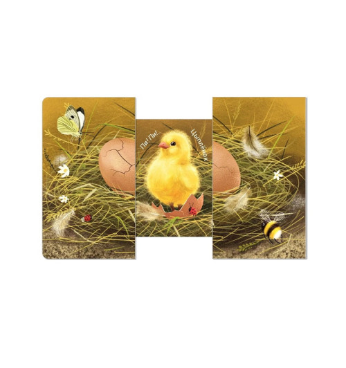 Книжки - задвижки. Кто там внутри?-5