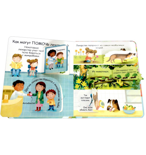 Кэти Дэйнс: Самые первые окошки. Про микробы-3