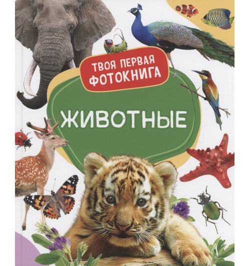 Животные. Твоя первая фотокнига