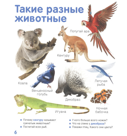 Животные. Твоя первая фотокнига-1