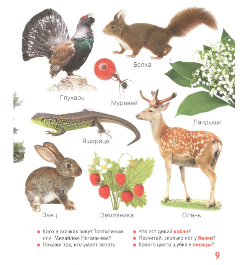 Животные. Твоя первая фотокнига-3