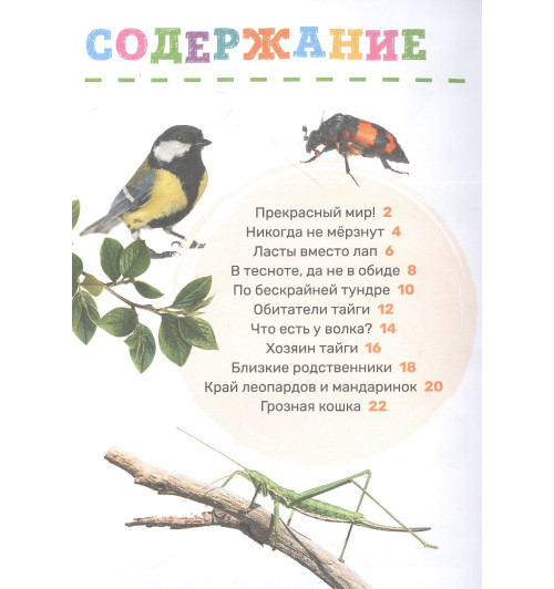 Лариса Клюшник: Животные-1