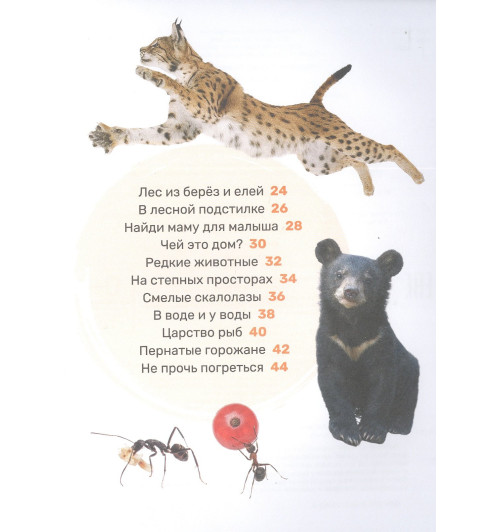 Лариса Клюшник: Животные-2