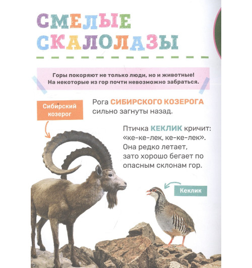 Лариса Клюшник: Животные-3