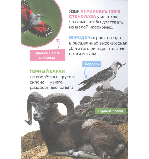 Лариса Клюшник: Животные-4