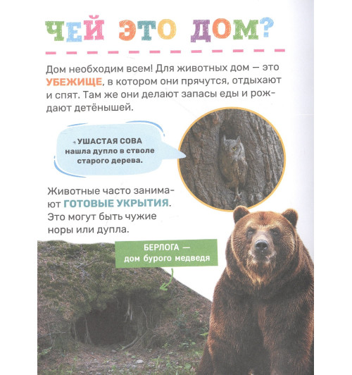 Лариса Клюшник: Животные-5