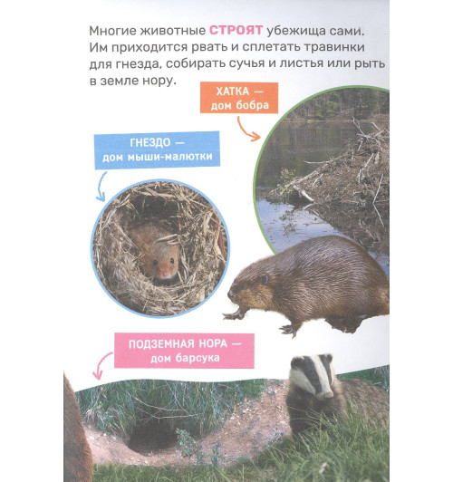 Лариса Клюшник: Животные-6