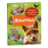 Лариса Клюшник: Животные