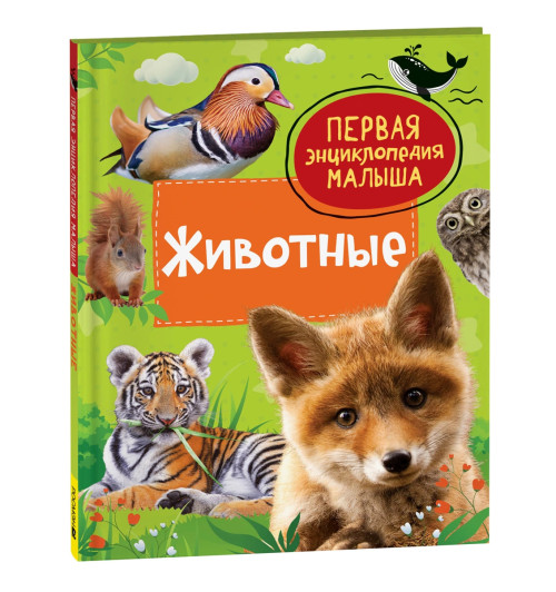 Лариса Клюшник: Животные