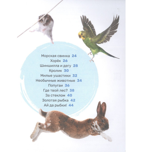 Лариса Попова: Домашние питомцы-2