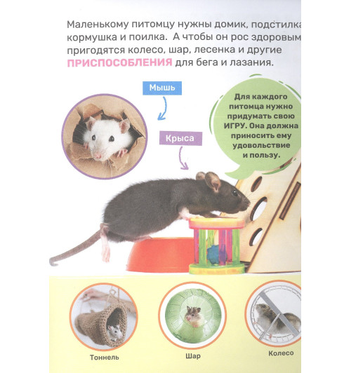 Лариса Попова: Домашние питомцы-4