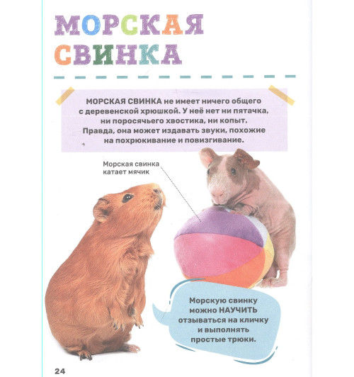 Лариса Попова: Домашние питомцы-5