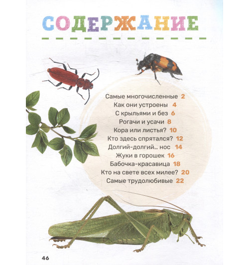 Насекомые. Первая энциклопедия малыша-4