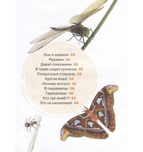 Насекомые. Первая энциклопедия малыша-5