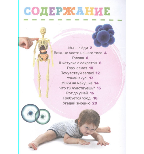 Лариса Попова: Тело человека-1