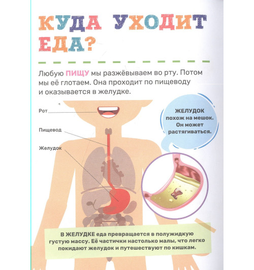 Лариса Попова: Тело человека-3
