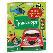 Лариса Попова: Транспорт
