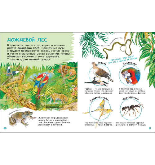 Людмила Попова: Гигантская энциклопедия для самых маленьких-1