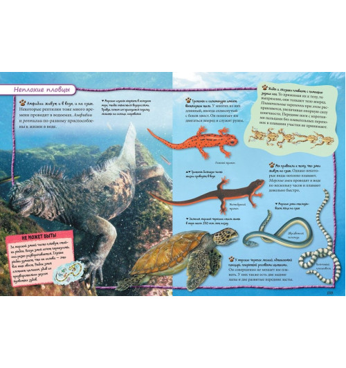 Наталья Котятова: Всё обо всем. Энциклопедия интересных фактов-6