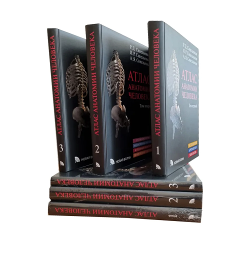 Синельников Яков Рафаилович: Атлас анатомии человека в 3-х томах. Комплект Синельников Синельников Яков Рафаилович: Атлас анатомии человека в 3-х томах. Комплект Синельников-1