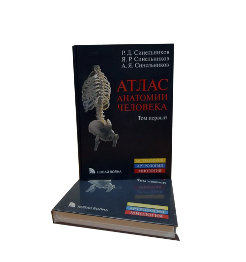 Синельников Яков Рафаилович: Атлас анатомии человека в 3-х томах. Комплект Синельников Синельников Яков Рафаилович: Атлас анатомии человека в 3-х томах. Комплект Синельников-2