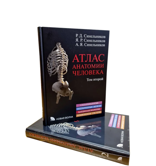 Синельников Яков Рафаилович: Атлас анатомии человека в 3-х томах. Комплект Синельников Синельников Яков Рафаилович: Атлас анатомии человека в 3-х томах. Комплект Синельников-3