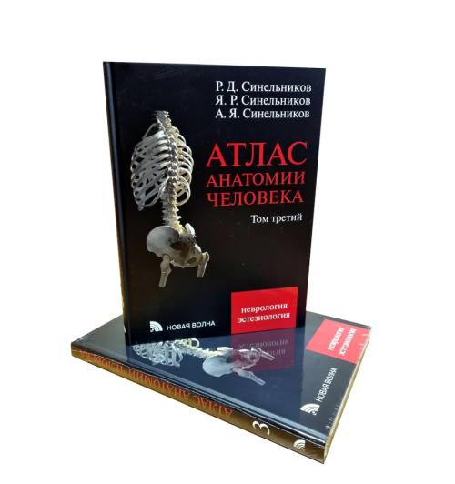 Синельников Яков Рафаилович: Атлас анатомии человека в 3-х томах. Комплект Синельников Синельников Яков Рафаилович: Атлас анатомии человека в 3-х томах. Комплект Синельников-4