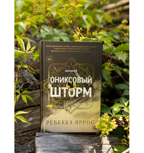 Яррос Ребекка: Ониксовый шторм (черный обрез)-9
