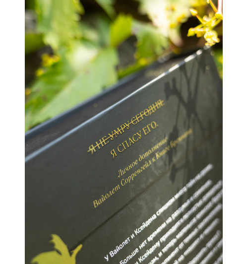 Яррос Ребекка: Ониксовый шторм (черный обрез)-11