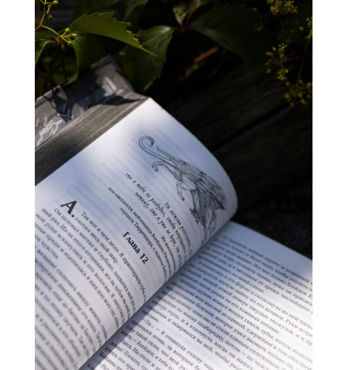 Яррос Ребекка: Ониксовый шторм (черный обрез)-13