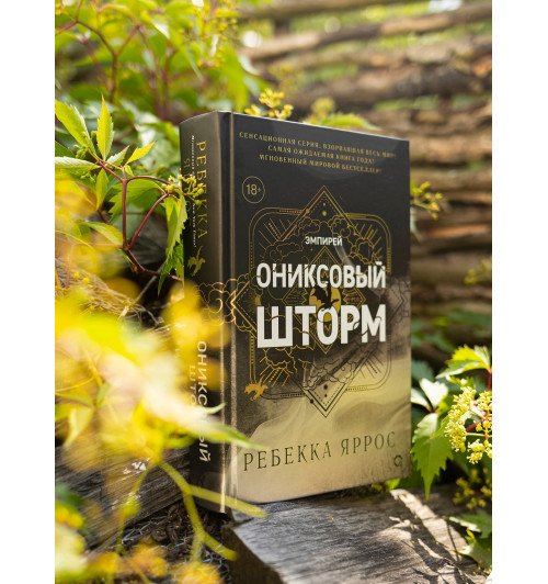 Яррос Ребекка: Ониксовый шторм (черный обрез)-6
