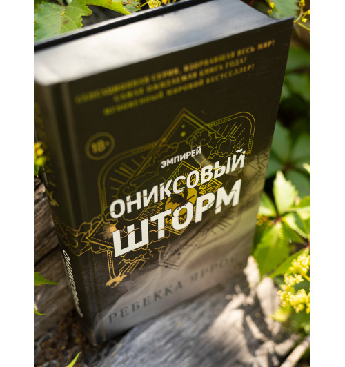 Яррос Ребекка: Ониксовый шторм (черный обрез)-7
