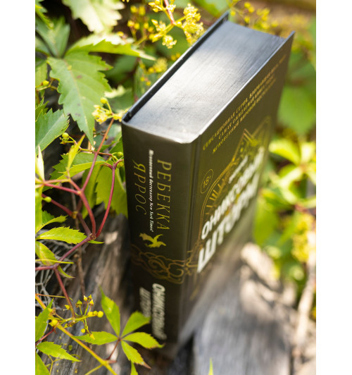 Яррос Ребекка: Ониксовый шторм (черный обрез)-8