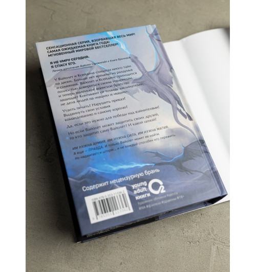 Яррос Ребекка: Ониксовый шторм (спец.издание, обрез с узором)-17