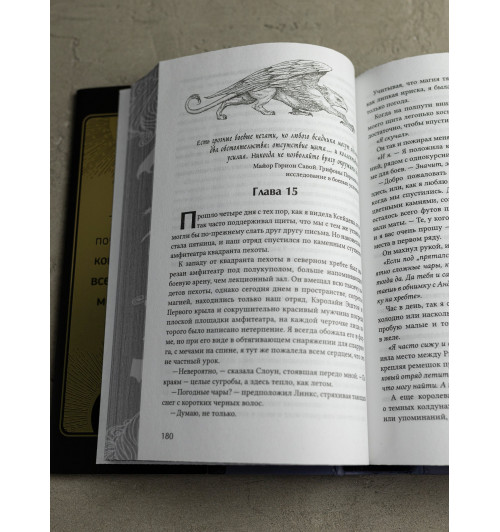 Яррос Ребекка: Ониксовый шторм (спец.издание, обрез с узором)-19