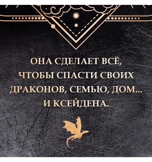 Яррос Ребекка: Ониксовый шторм (спец.издание, обрез с узором)-6
