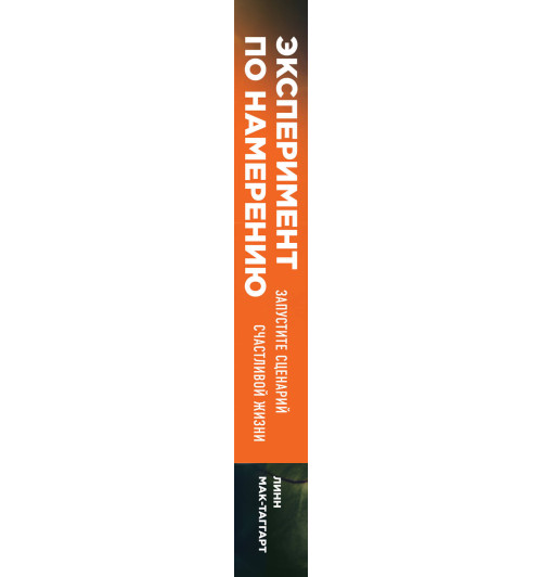 Мак-Таггарт Линн: Эксперимент по намерению. Запустите сценарий счастливой жизни-3