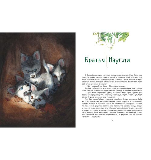 Киплинг Редьярд Джозеф: Книга джунглей. История Маугли Киплинг Редьярд Джозеф: Книга джунглей. История Маугли-2