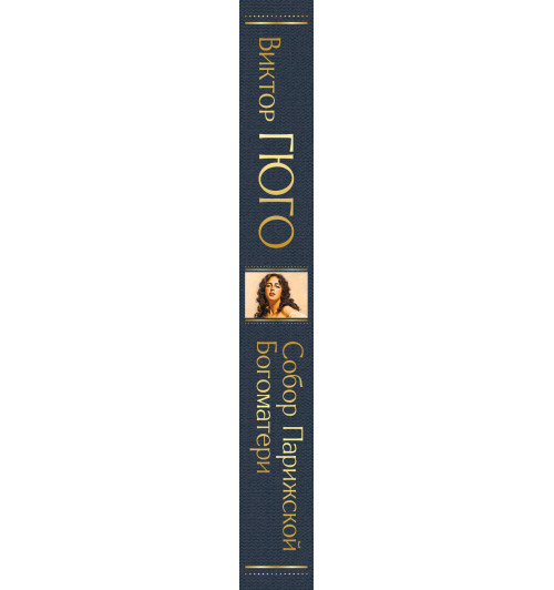 Гюго Виктор: Собор Парижской Богоматери-3