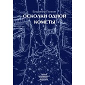 Понкин Владимир Олегович: Осколки одной кометы