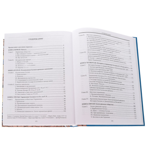 Лависс Эрнест: История Франции в Раннее Средневековье Лависс Эрнест: История Франции в Раннее Средневековье-1