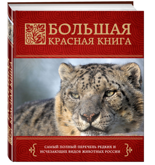 Скалдина Оксана Валерьевна: Большая Красная книга