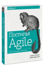 Грин Дженнифер: Постигая Agile. Ценности, принципы, методологии