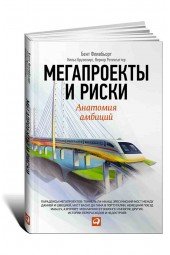 Бент Фливбьорг: Мегапроекты и риски. Анатомия амбиций